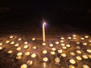 늘햇살팜 님의 기타작물 · 영농일지 작성글 사진