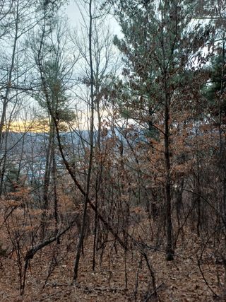 전원수님의 기타작물 · 영농일지 작성글 사진
