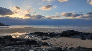 이상철님의 기타작물 · 영농일지 작성글 사진