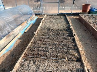 김홍중님의 두릅 · 영농일지 작성글 사진