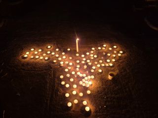 늘햇살팜 님의 기타작물 · 영농일지 작성글 사진