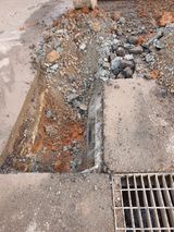 팜모닝 기타작물·영농일지 게시글 이미지