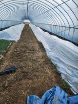 김저팔계님의 작성글 사진