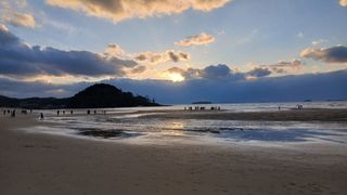 이상철님의 기타작물 · 영농일지 작성글 사진