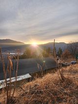 팜모닝 사과·영농일지 게시글 이미지