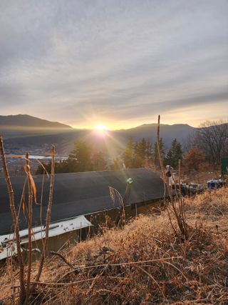 신승덕맛익는사과님의 사과 · 영농일지 작성글 사진