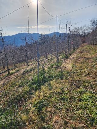 신승덕맛익는사과님의 사과 · 영농일지 작성글 사진