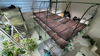 김성진님의 양배추 · 영농일지 작성글 사진