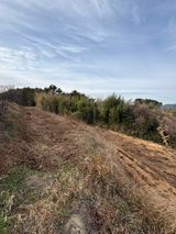 팜모닝 두릅·영농일지 게시글 이미지