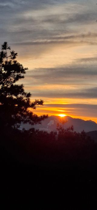 전영옥님의 기타작물 · 영농일지 작성글 사진