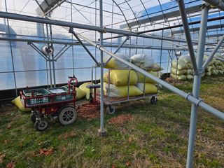 이만근님의 포도 · 영농일지 작성글 사진