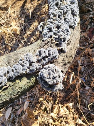 최병우님의 벼 · 영농일지 작성글 사진