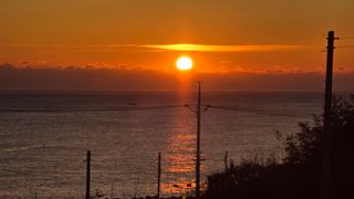 대박농장신초시님의 기타작물 · 영농일지 작성글 사진