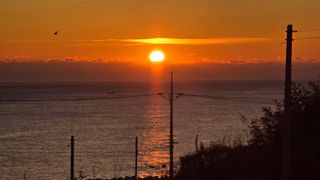 대박농장신초시님의 기타작물 · 영농일지 작성글 사진