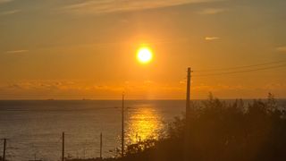 대박농장신초시님의 기타작물 · 영농일지 작성글 사진