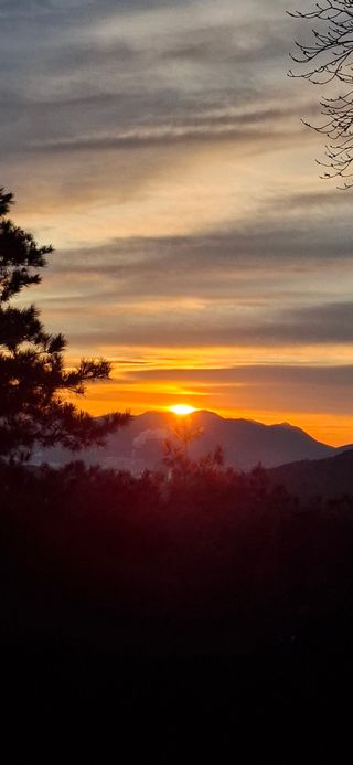 전영옥님의 기타작물 · 영농일지 작성글 사진