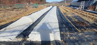 박상중님의 기타작물 · 영농일지 작성글 사진