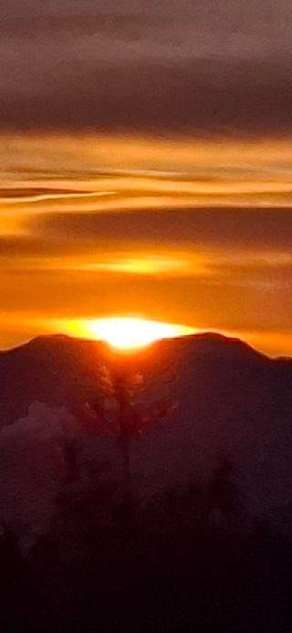 전영옥님의 기타작물 · 영농일지 작성글 사진