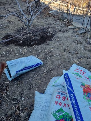 김용대님의 사과 · 영농일지 작성글 사진