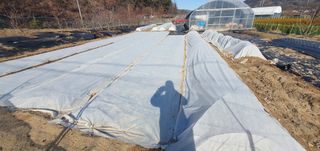 박상중님의 기타작물 · 영농일지 작성글 사진