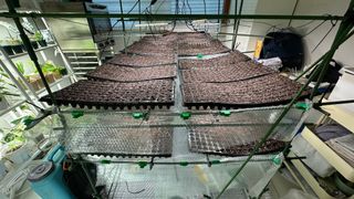 김성진님의 양배추 · 영농일지 작성글 사진