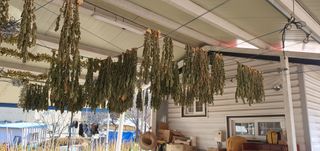 박상중님의 기타작물 · 영농일지 작성글 사진