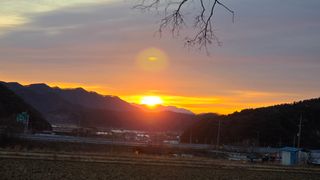 가야산아래촌농님의 기타작물 · 영농일지 작성글 사진