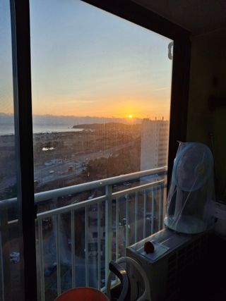 김철우님의 기타작물 · 영농일지 작성글 사진