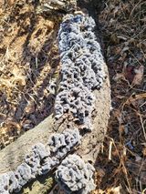 팜모닝 벼·영농일지 게시글 이미지