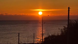 대박농장신초시님의 기타작물 · 영농일지 작성글 사진