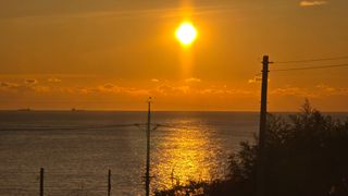 대박농장신초시님의 기타작물 · 영농일지 작성글 사진