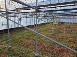 이만근님의 포도 · 영농일지 작성글 사진