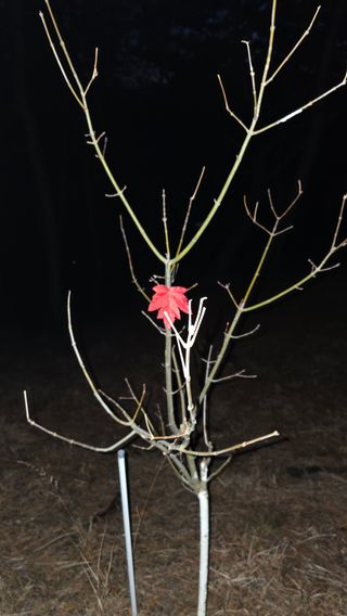 신승우님의 기타작물 · 영농일지 작성글 사진