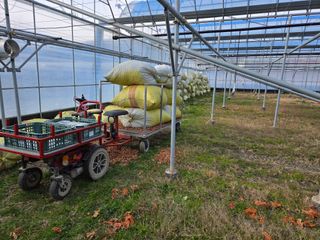 이만근님의 포도 · 영농일지 작성글 사진