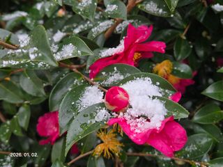 Captain김상곤님의 기타작물 · 영농일지 작성글 사진
