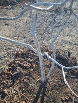 김용대님의 작성글 사진