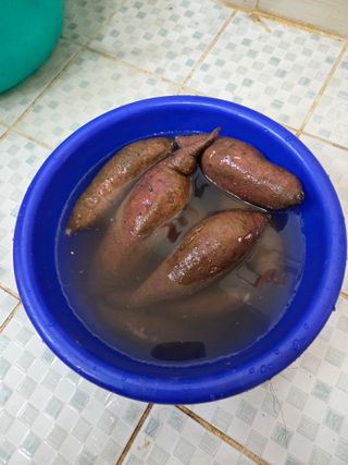 감자17713님의 기타작물 · 영농일지 작성글 사진