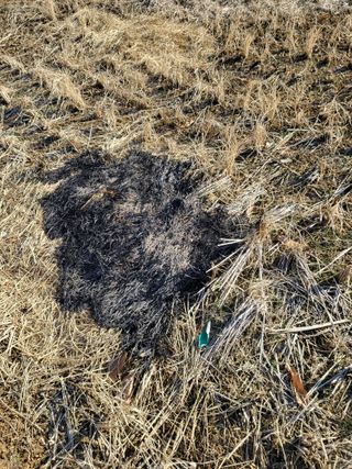 최병우님의 벼 · 영농일지 작성글 사진