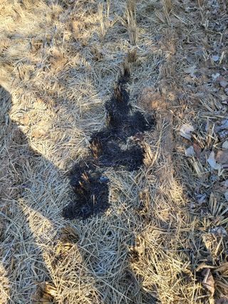 최병우님의 벼 · 영농일지 작성글 사진