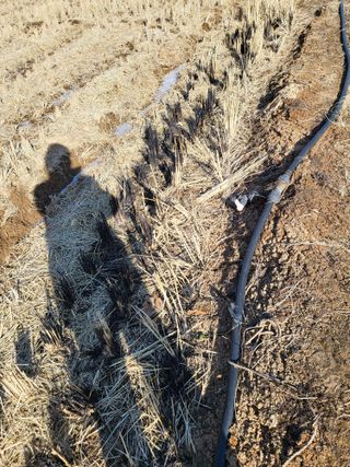 최병우님의 벼 · 영농일지 작성글 사진