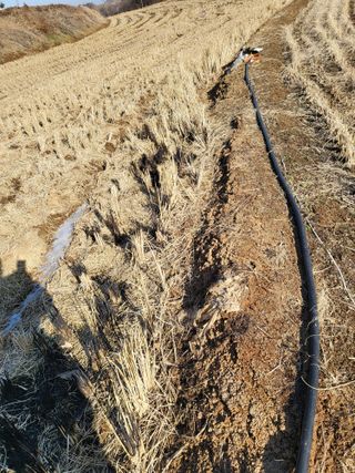 최병우님의 벼 · 영농일지 작성글 사진