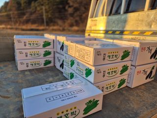 늘햇살팜 님의 기타작물 · 영농일지 작성글 사진