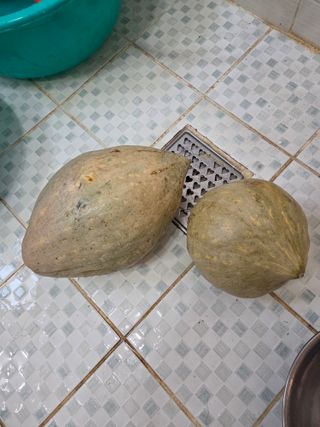 감자17713님의 기타작물 · 영농일지 작성글 사진