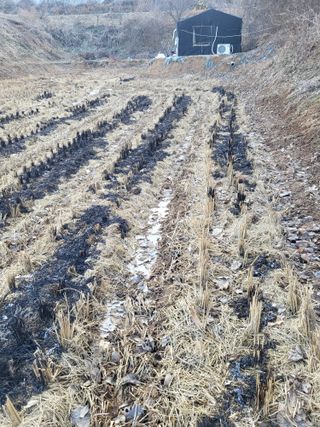 최병우님의 벼 · 영농일지 작성글 사진