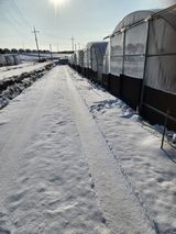 김저팔계님의 작성글 사진