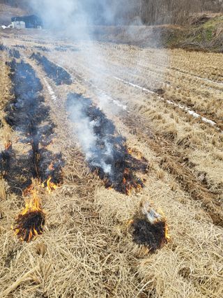 최병우님의 벼 · 영농일지 작성글 사진
