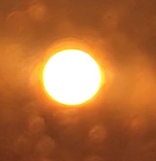 하은와송~♡♡♡~님의 기타작물 · 영농일지 작성글 사진