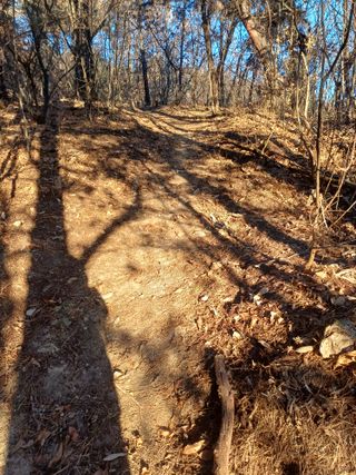 전원수님의 기타작물 · 영농일지 작성글 사진