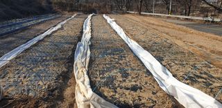 정천복님의 기타작물 · 영농일지 작성글 사진