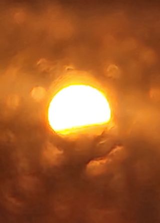 하은와송~♡♡♡~님의 기타작물 · 영농일지 작성글 사진